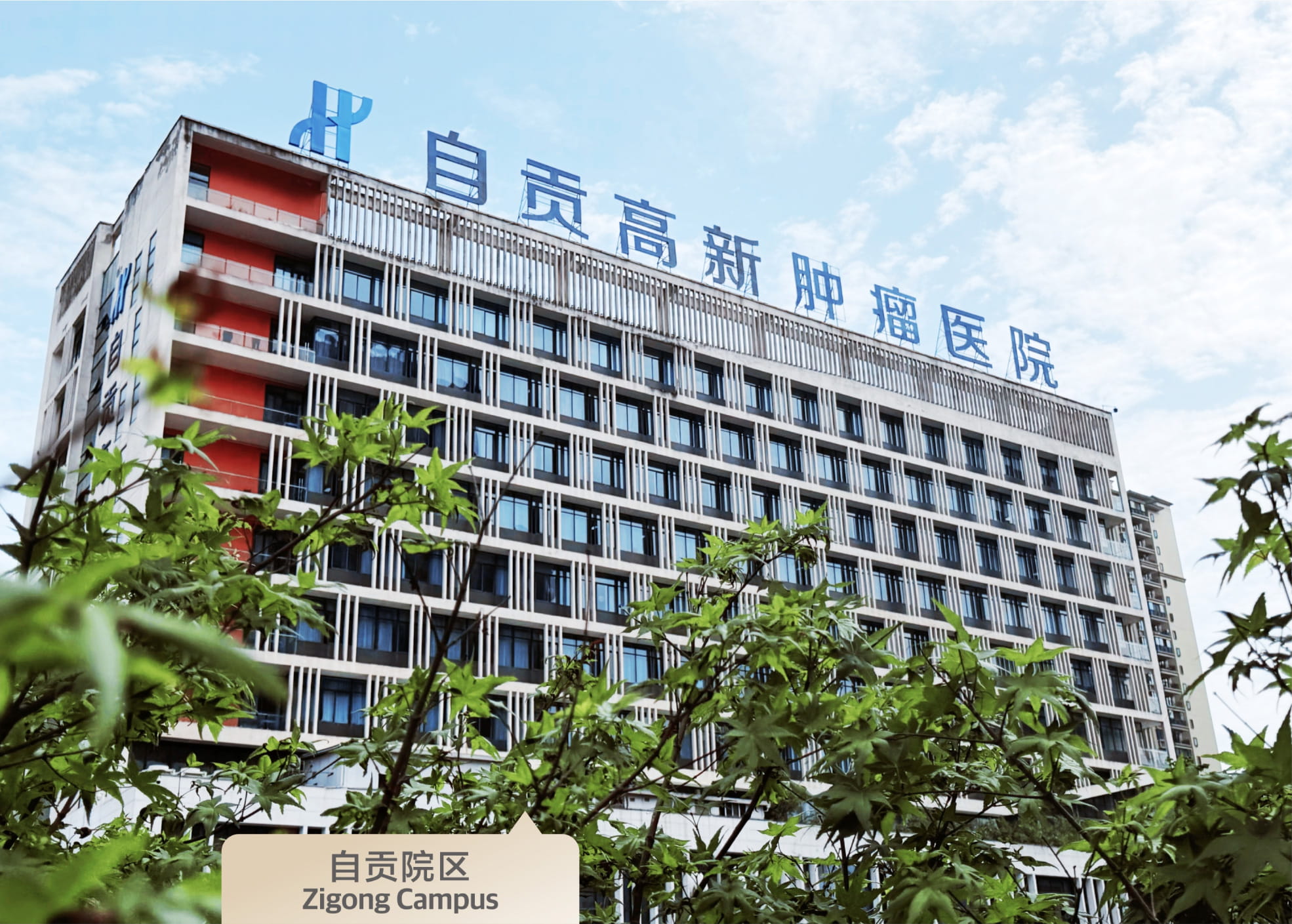 zigong
