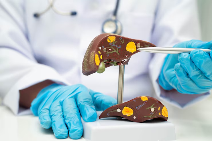 liver