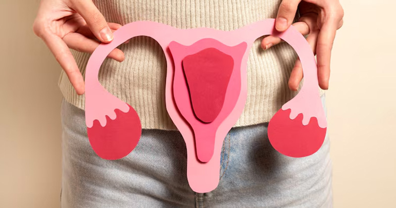 cervical cancer image